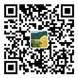 大发welcome购彩中心官方版